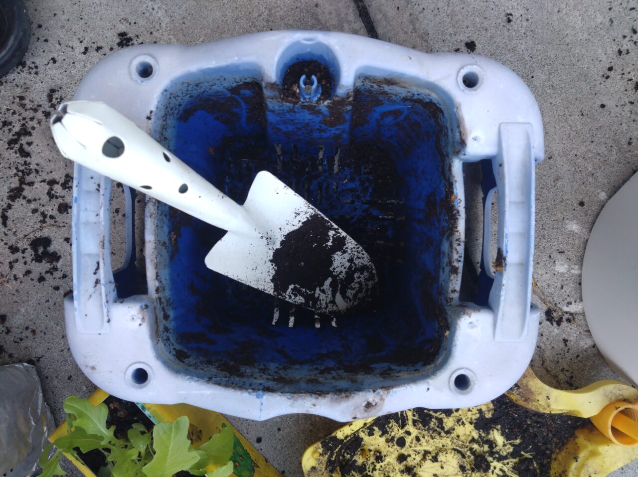 デコポンの植え替えのために、空になったアサガオプランター鉢。