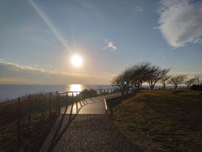 夕日がまぶしい歩道