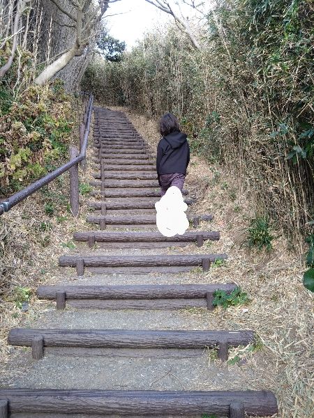 海への散策路の帰り道