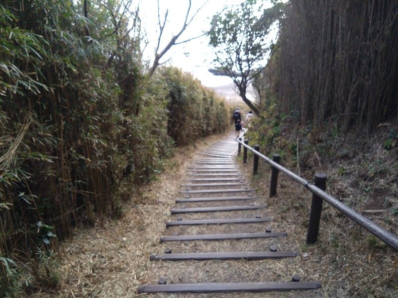 海への散策路を下って行っている様子