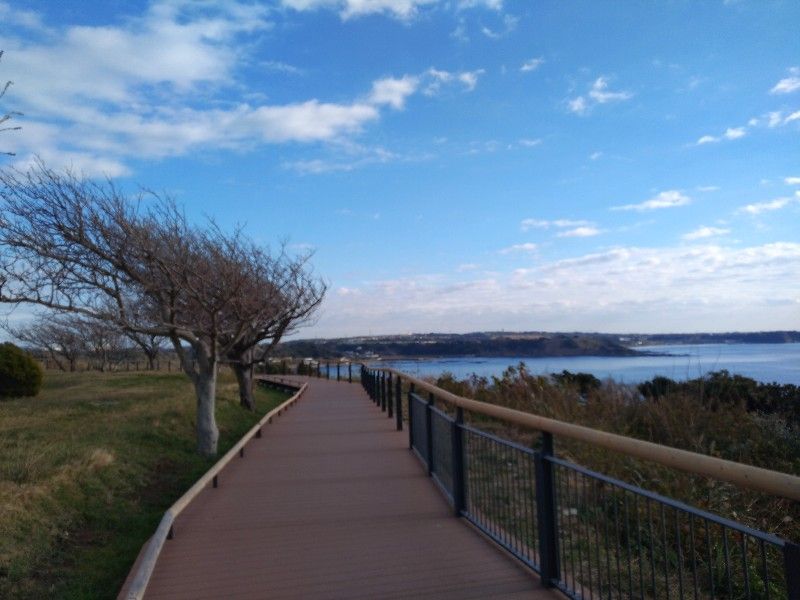 海沿いのウッドデッキの歩道