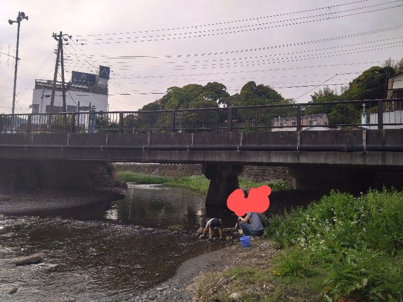 受付とキャンプ場にはさまれた川の道路の下で生き物探しをするこどもたち