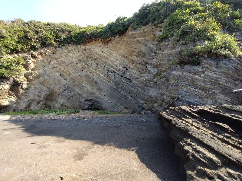 地層が見える岸壁