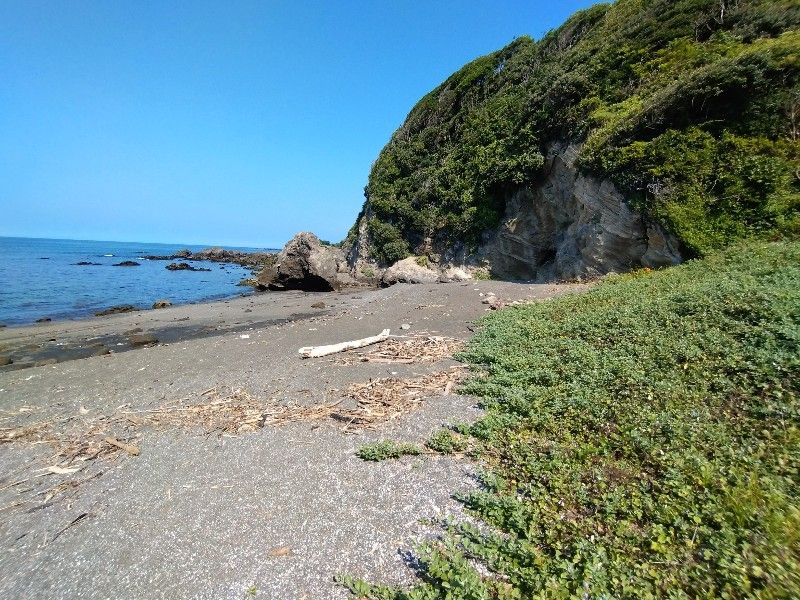 海岸の様子