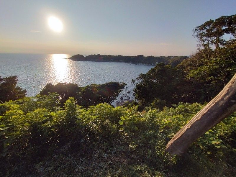 海の方に傾きかけたお日様