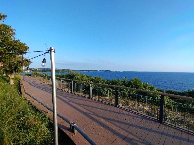 青い海をバックに海沿いの小道