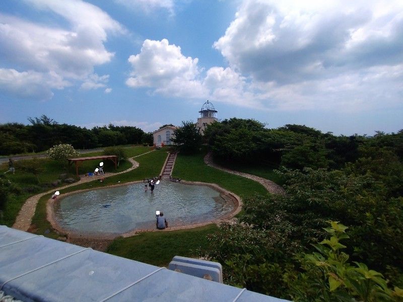 吊り橋上からのじゃぶじゃぶ池の上流