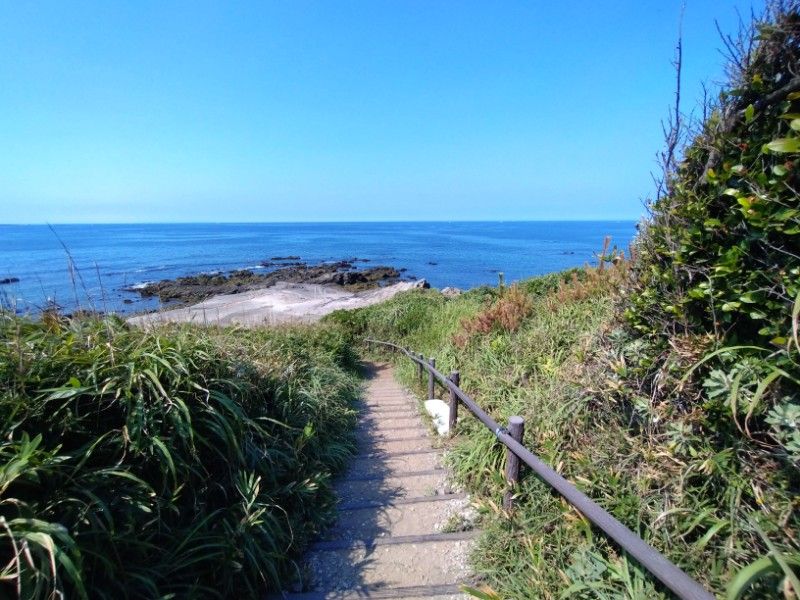 海が見えてきた散策路の階段